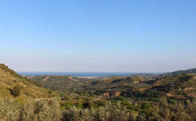 A raccogliere olive sulle colline calabresi