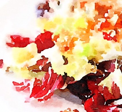 Insalata di radicchio rosso e spinaci con pere e noci